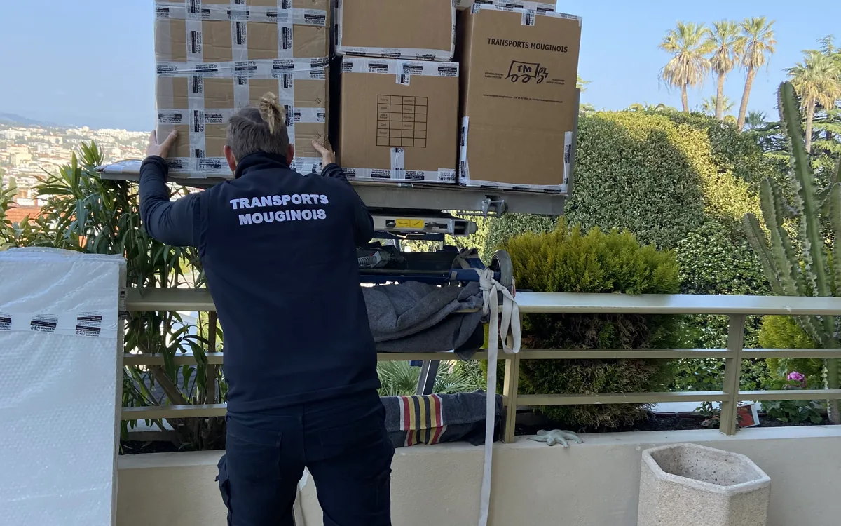 Déménageur avec cartons, vue mer